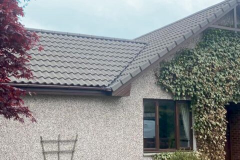 Roof Moss Removal in Scotland & Cumbria